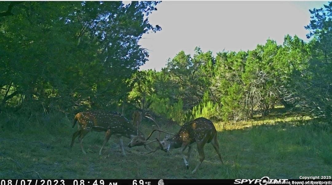 6.85 acres in Bandera County - photo 5