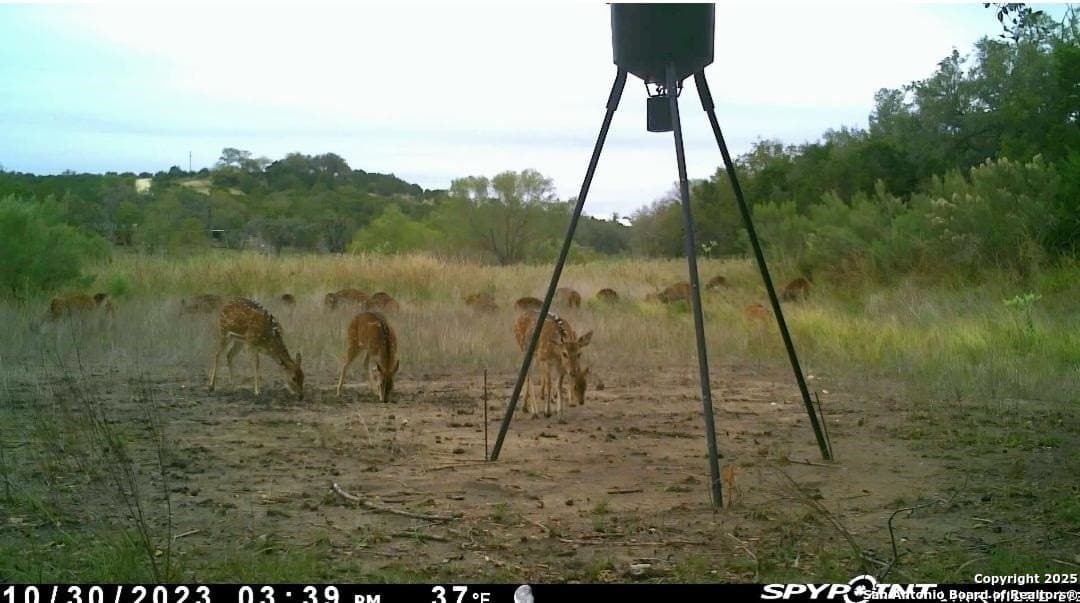 6.85 acres in Bandera County - photo 3