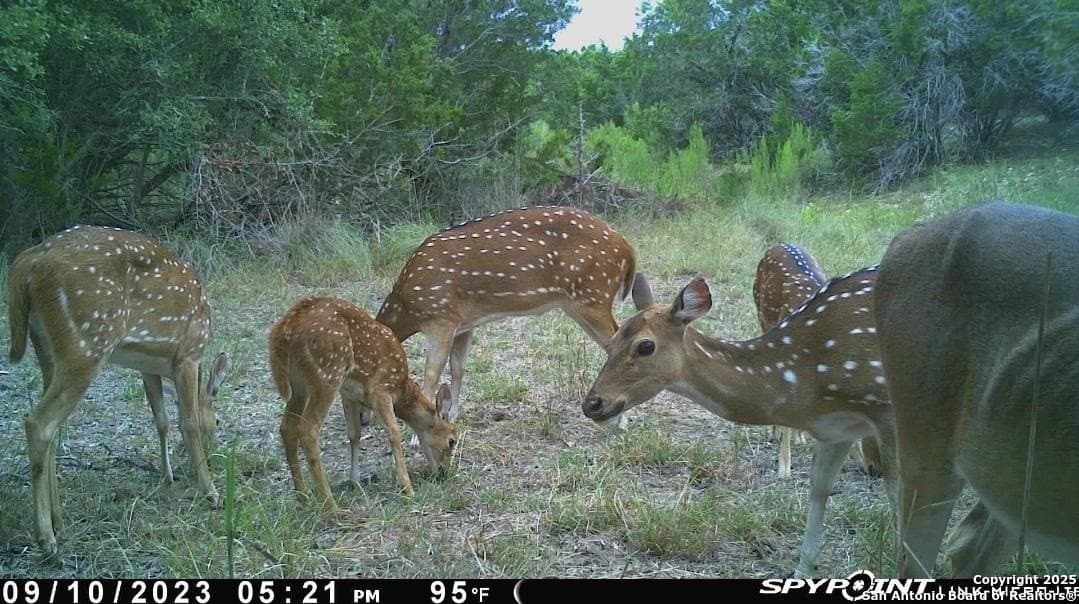 6.85 acres in Bandera County - photo 6