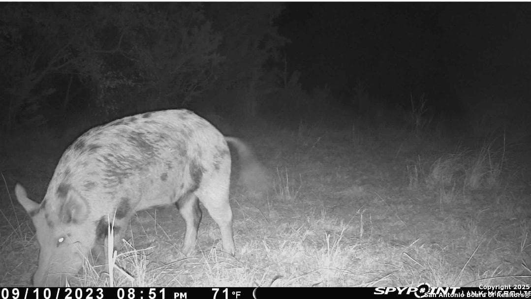 6.85 acres in Bandera County - photo 7