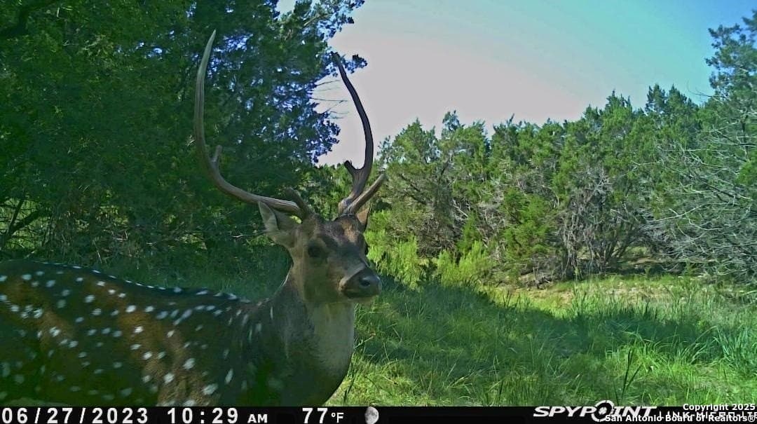 6.85 acres in Bandera County - photo 4