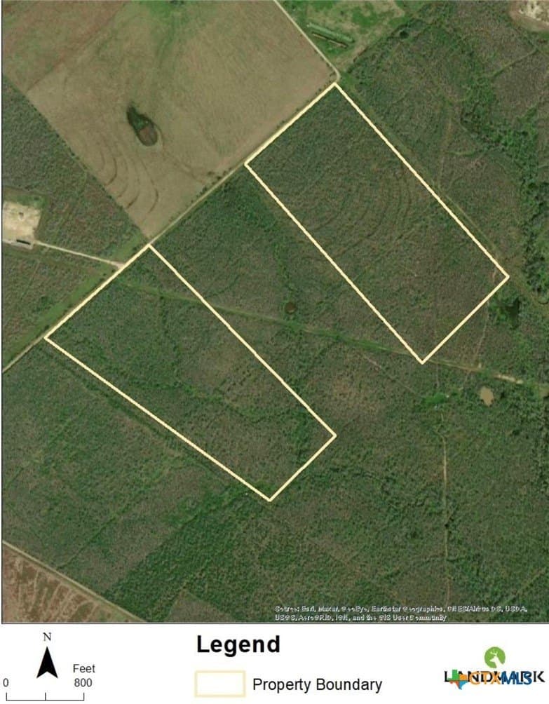 50.01 acres in Gonzales County - photo 3