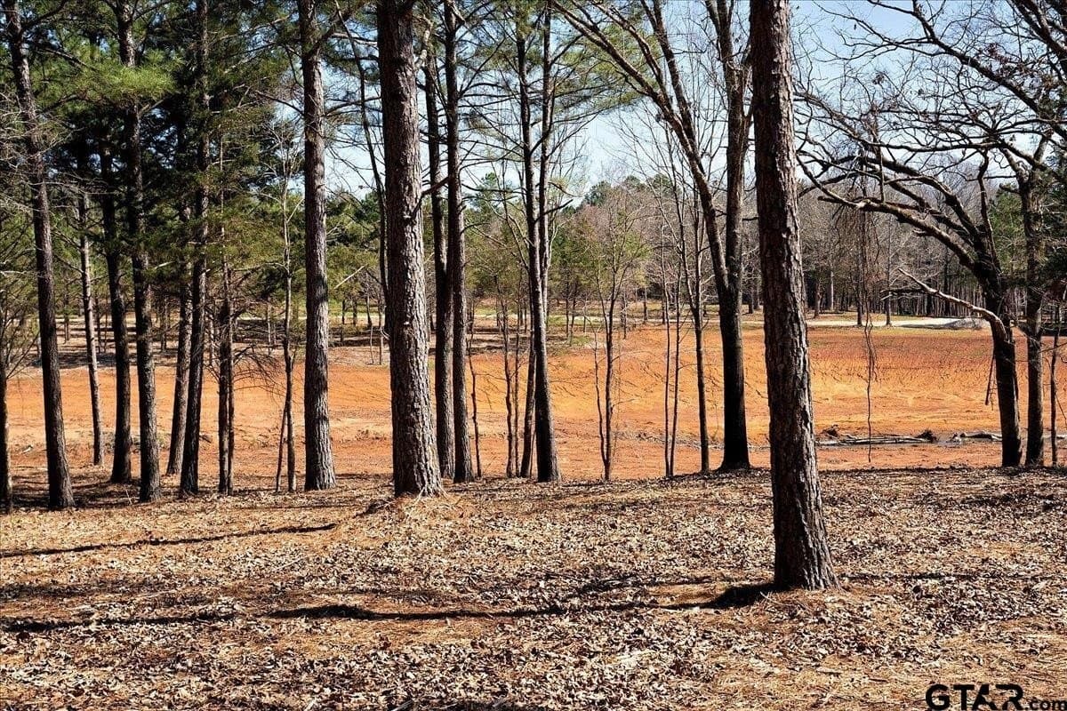 65.58 acres in Smith County - photo 38
