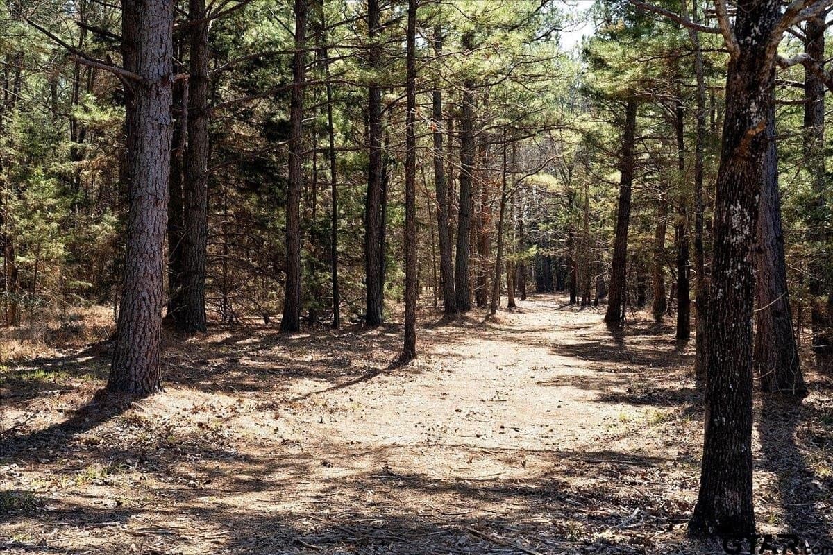 65.58 acres in Smith County - photo 34