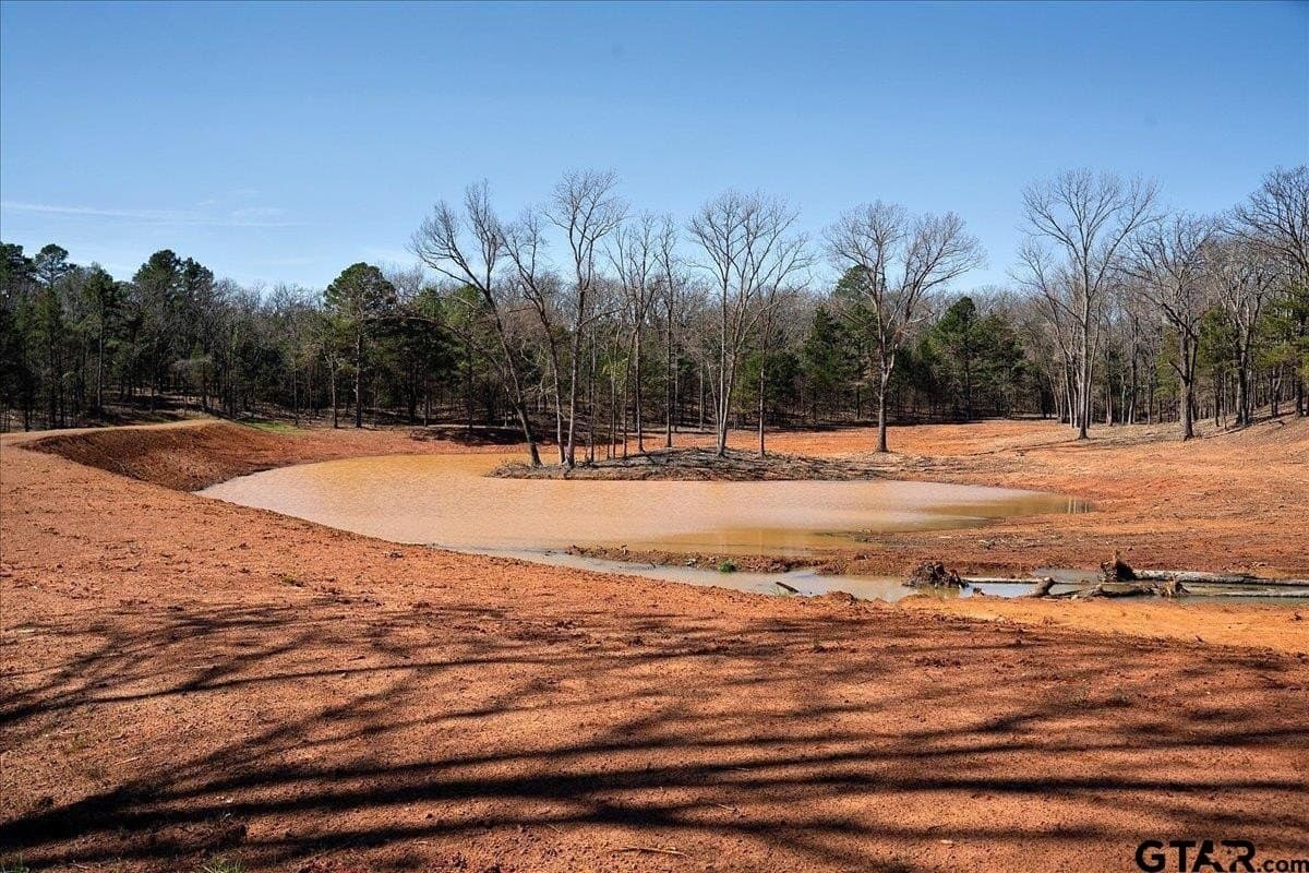 65.58 acres in Smith County - photo 13