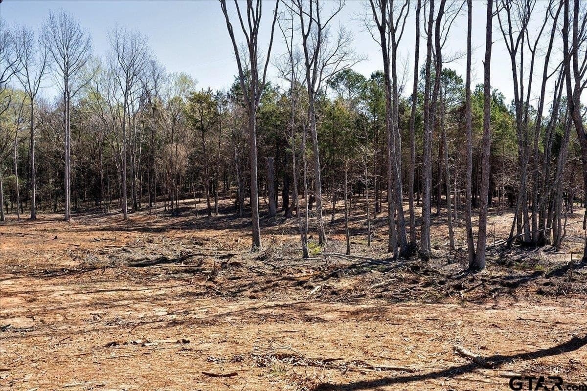 65.58 acres in Smith County - photo 39
