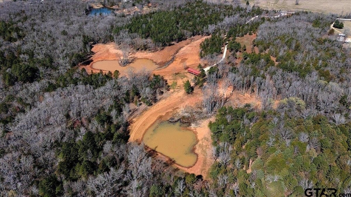 65.58 acres in Smith County - photo 26