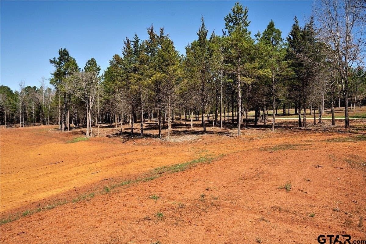 65.58 acres in Smith County - photo 28