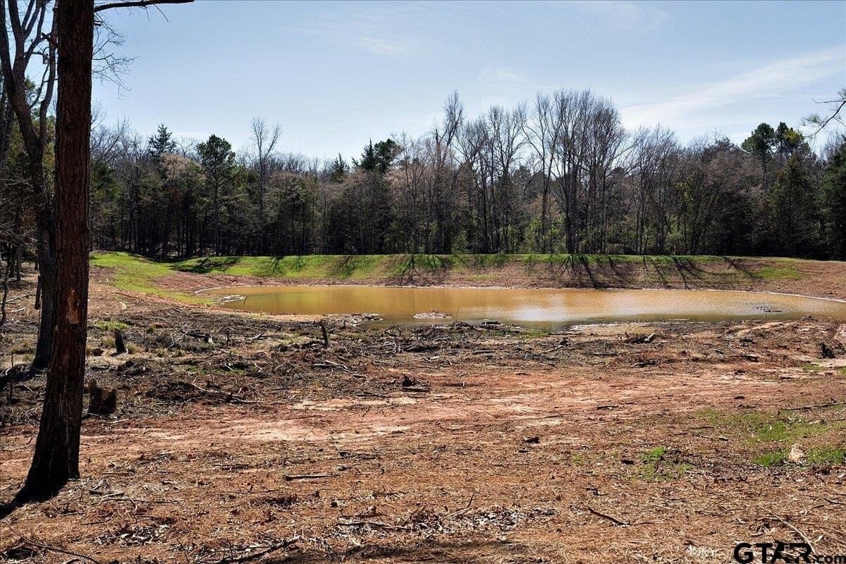65.58 acres in Smith County - photo 29