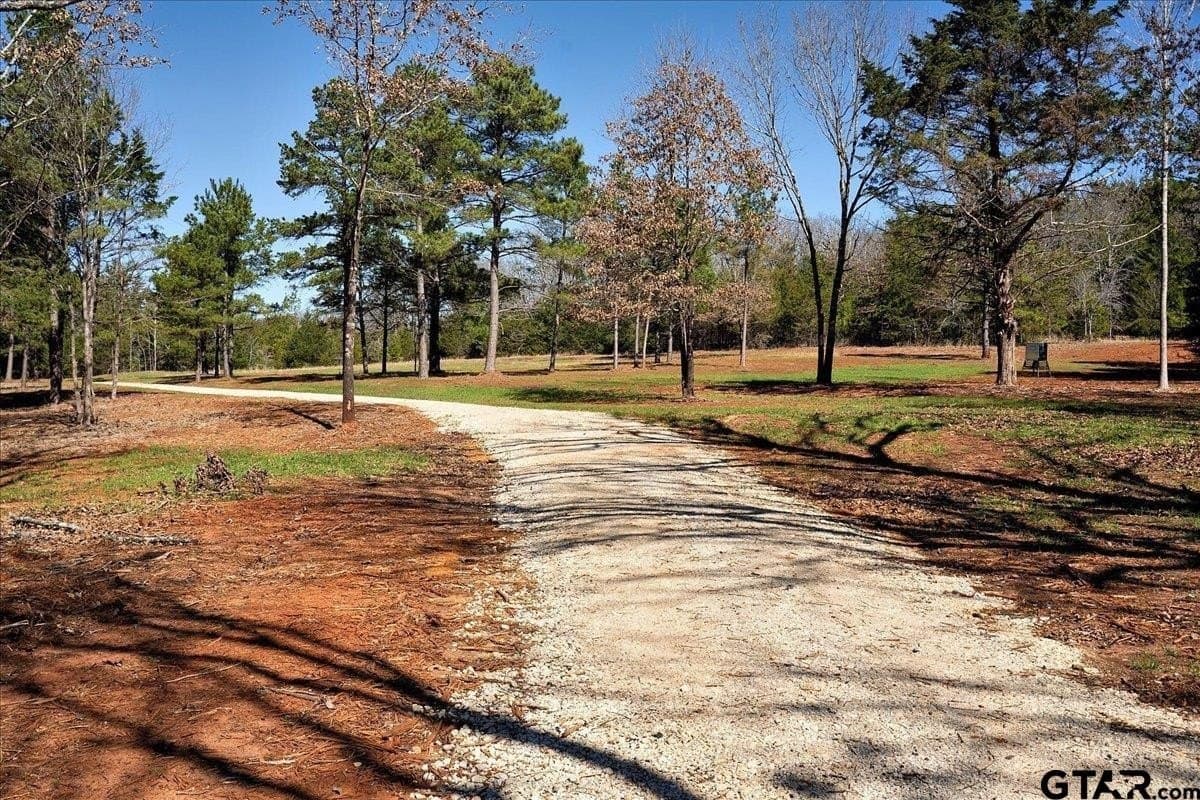 65.58 acres in Smith County - photo 31