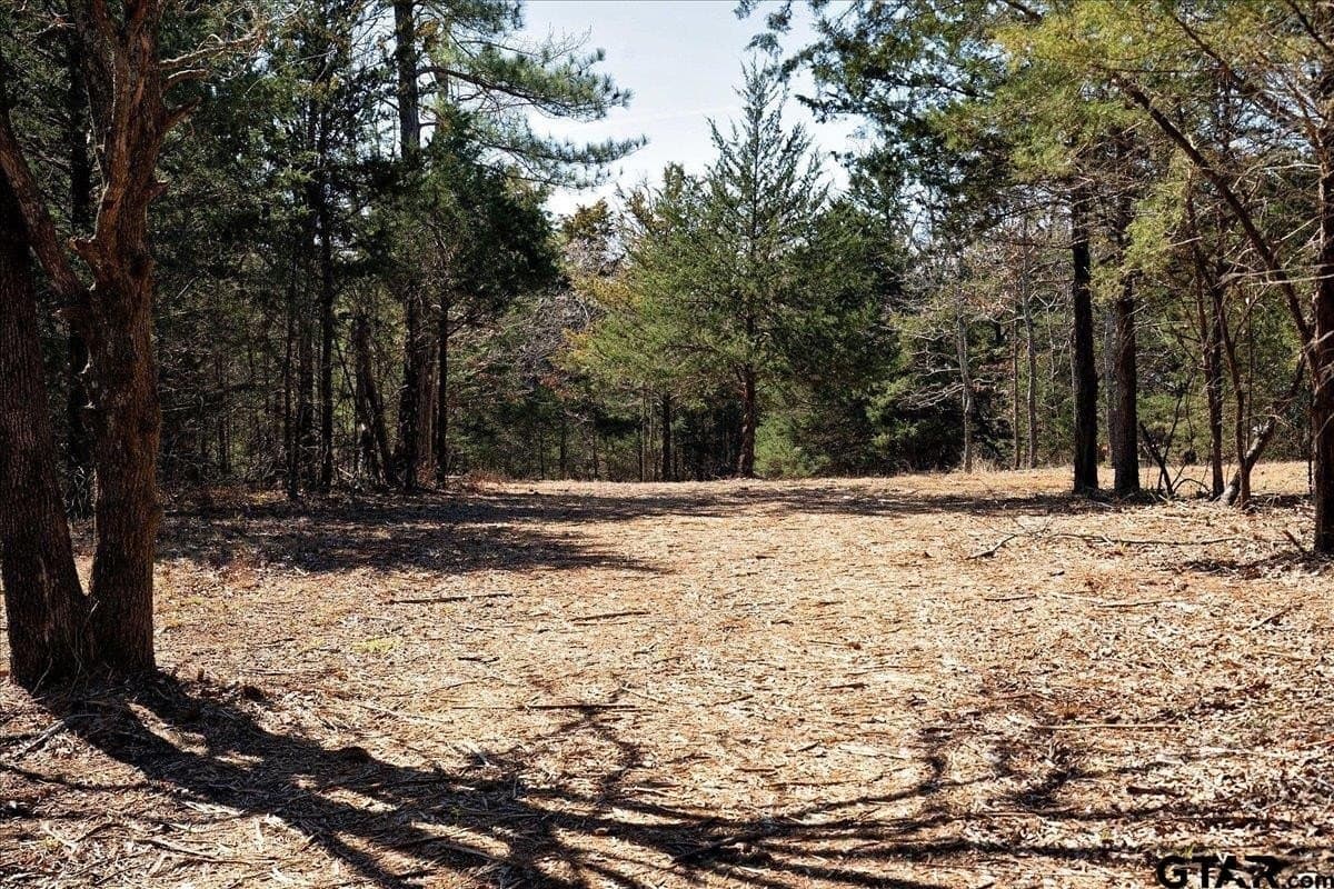 65.58 acres in Smith County - photo 36