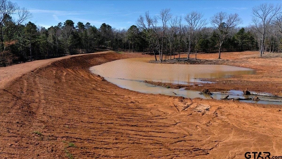 65.58 acres in Smith County - photo 11