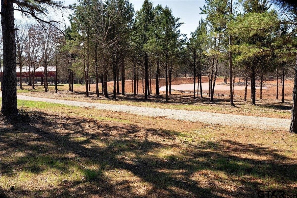 65.58 acres in Smith County - photo 35