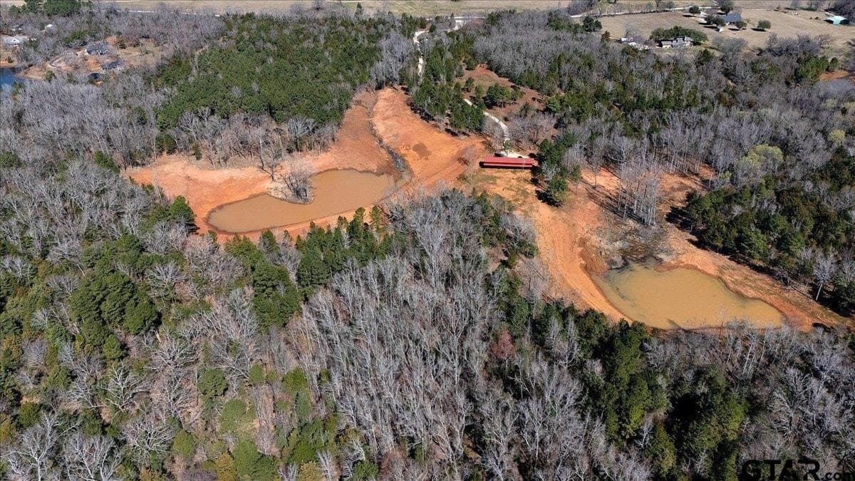 65.58 acres in Smith County - photo 16