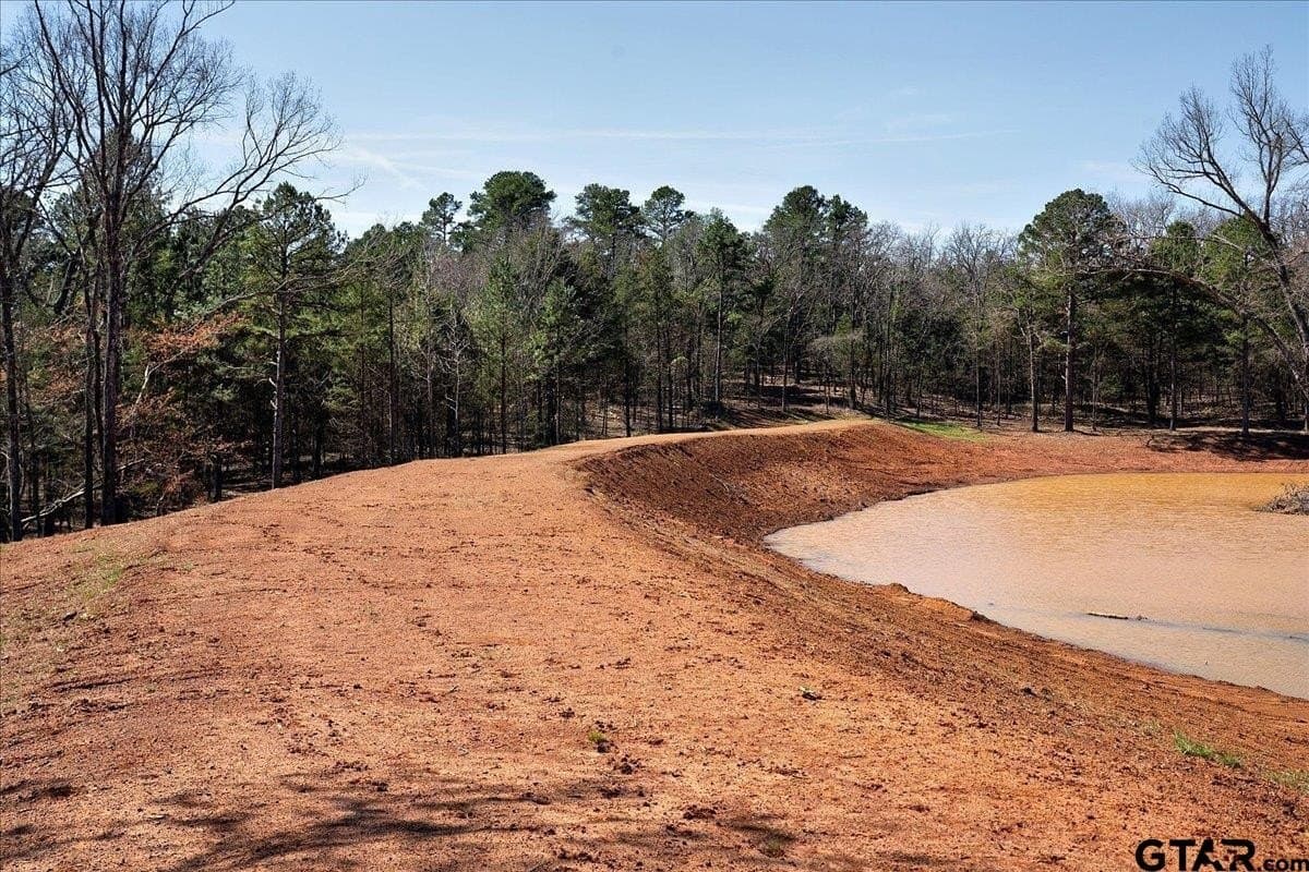65.58 acres in Smith County - photo 12