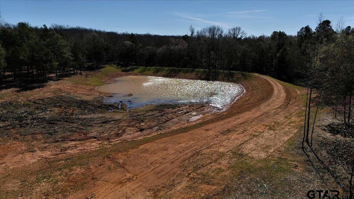 65.58 acres in Smith County - photo 10