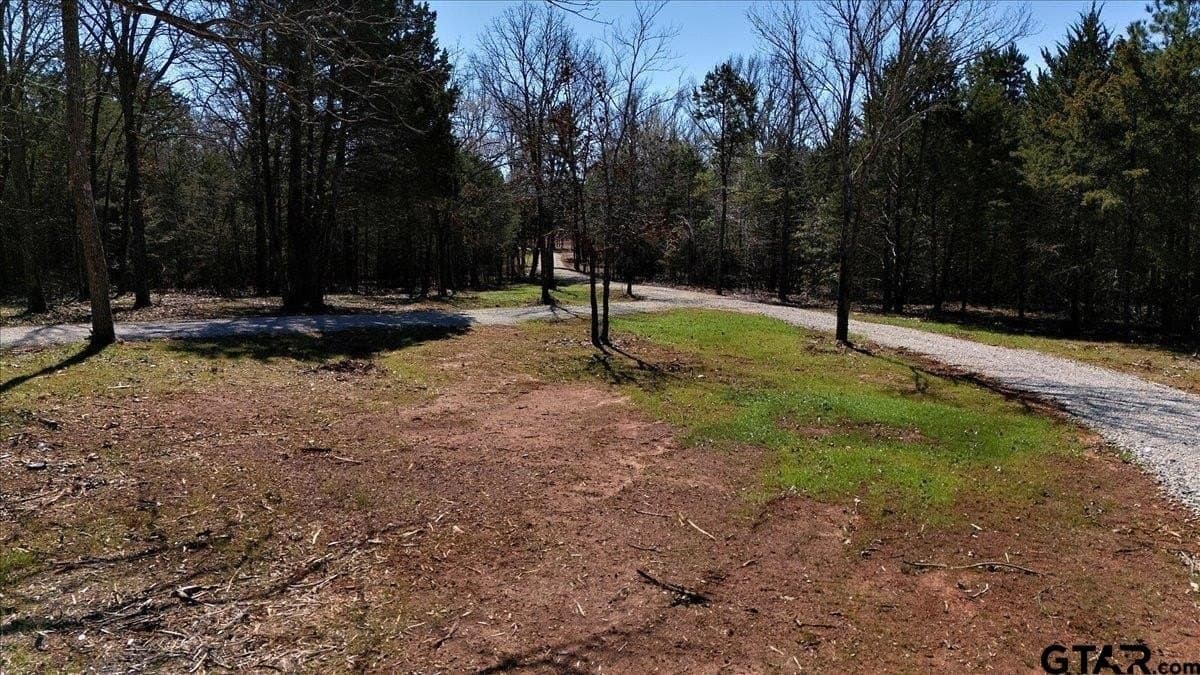 65.58 acres in Smith County - photo 33