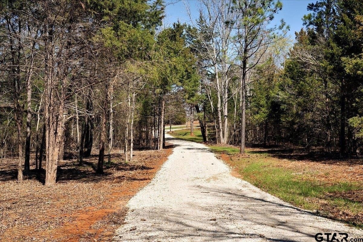 65.58 acres in Smith County - photo 32