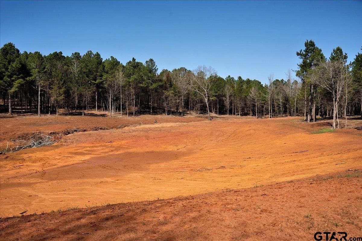 65.58 acres in Smith County - photo 27