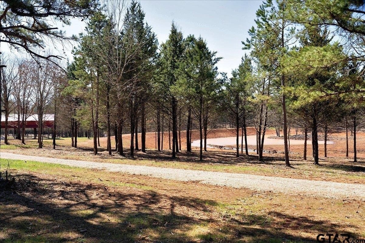 65.58 acres in Smith County - photo 3