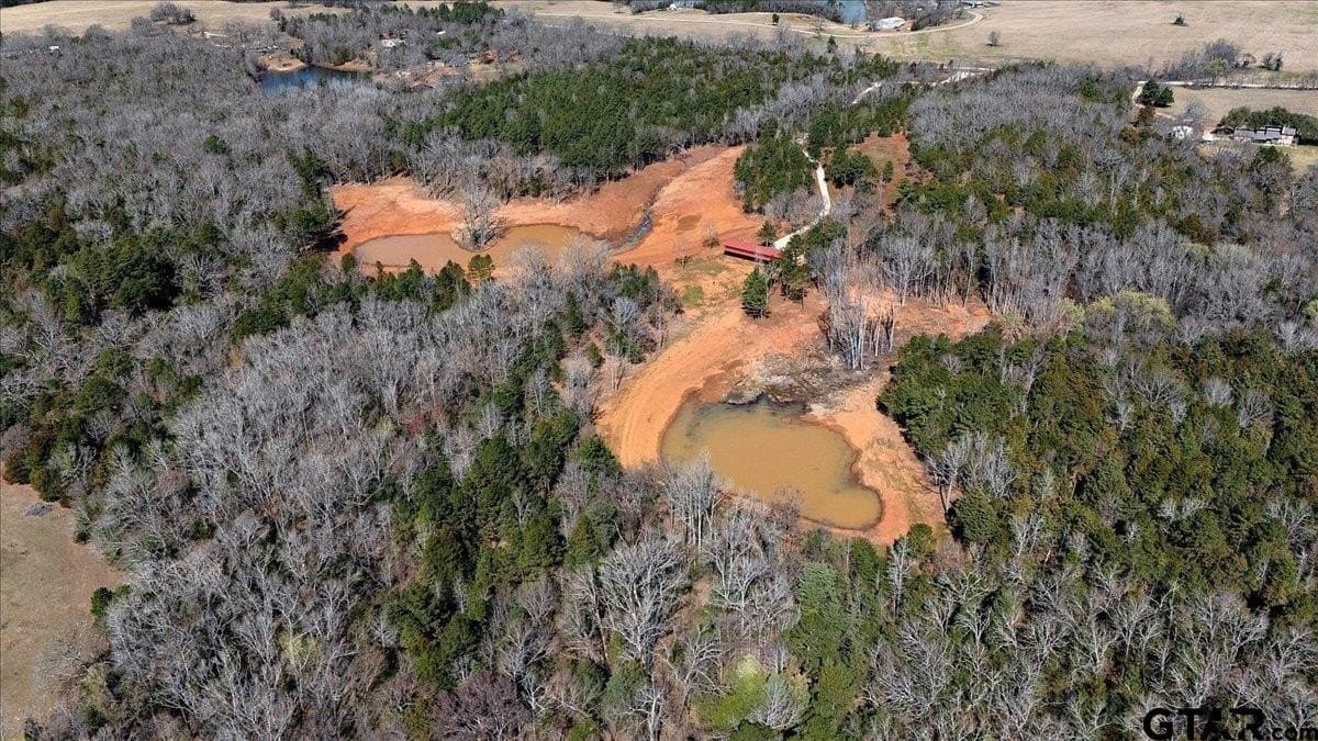 65.58 acres in Smith County - photo 15