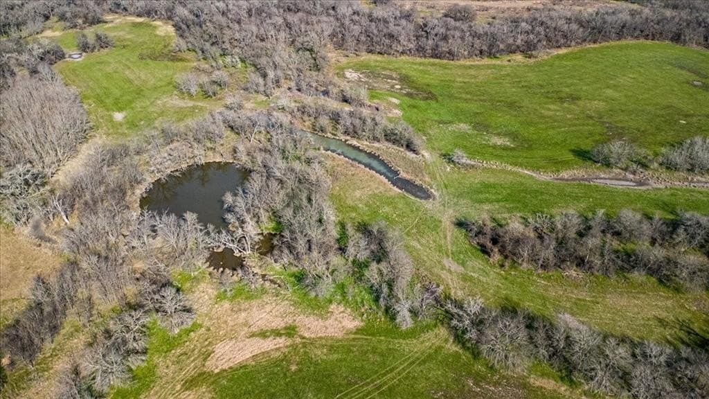 169.6 acres in Limestone County - photo 5