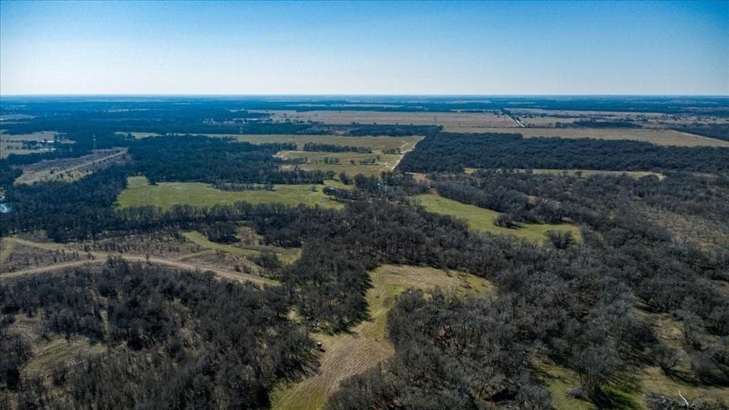 169.6 acres in Limestone County - photo 20