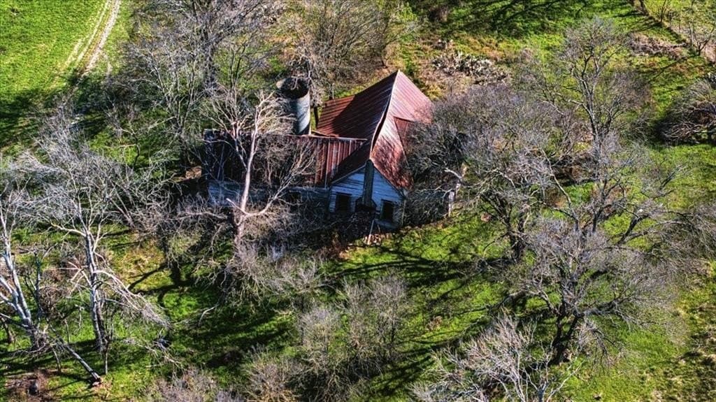 169.6 acres in Limestone County - photo 26