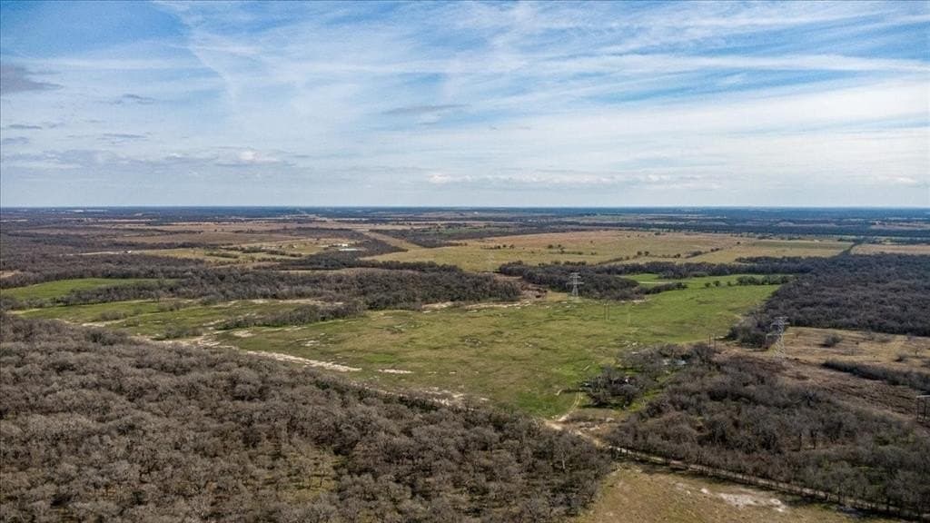 169.6 acres in Limestone County - photo 3