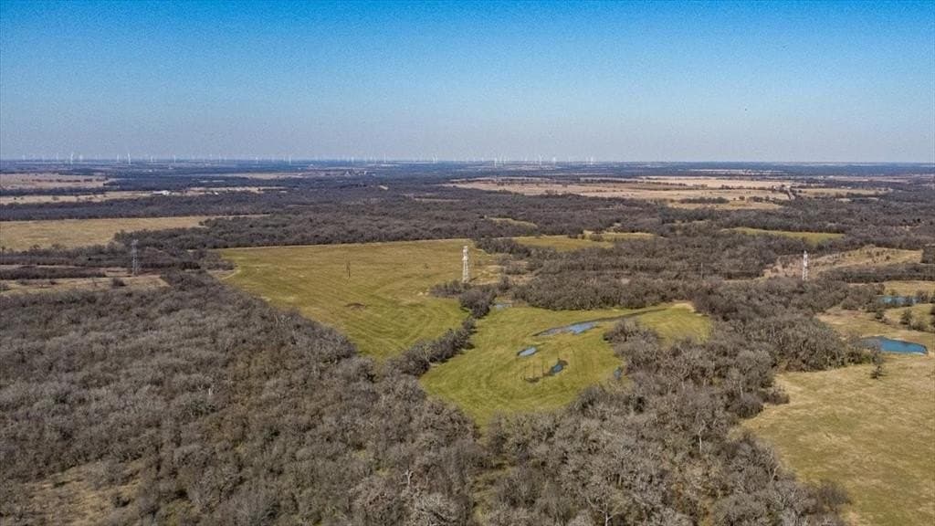 169.6 acres in Limestone County - photo 12