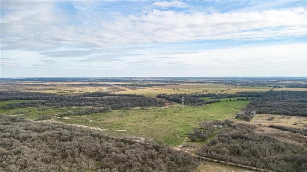 169.6 acres in Limestone County - photo 7