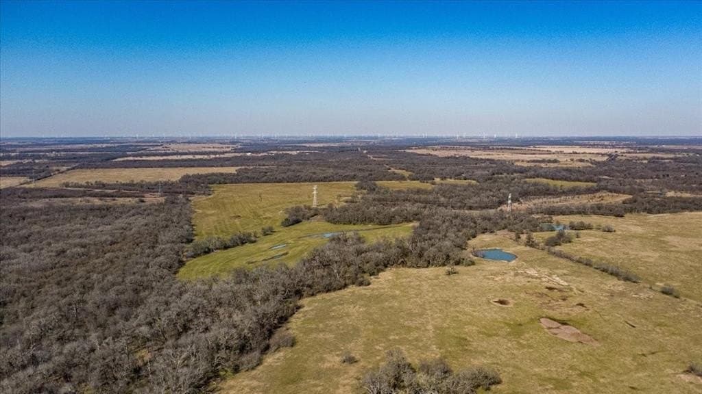 169.6 acres in Limestone County - photo 13