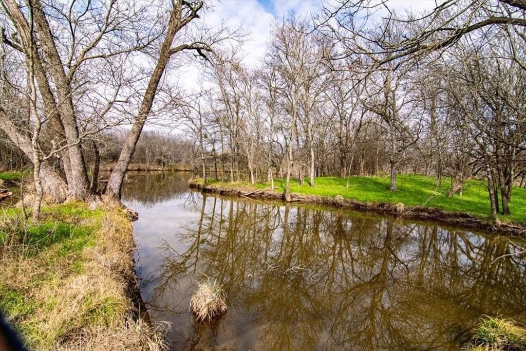 169.6 acres in Limestone County - photo 2