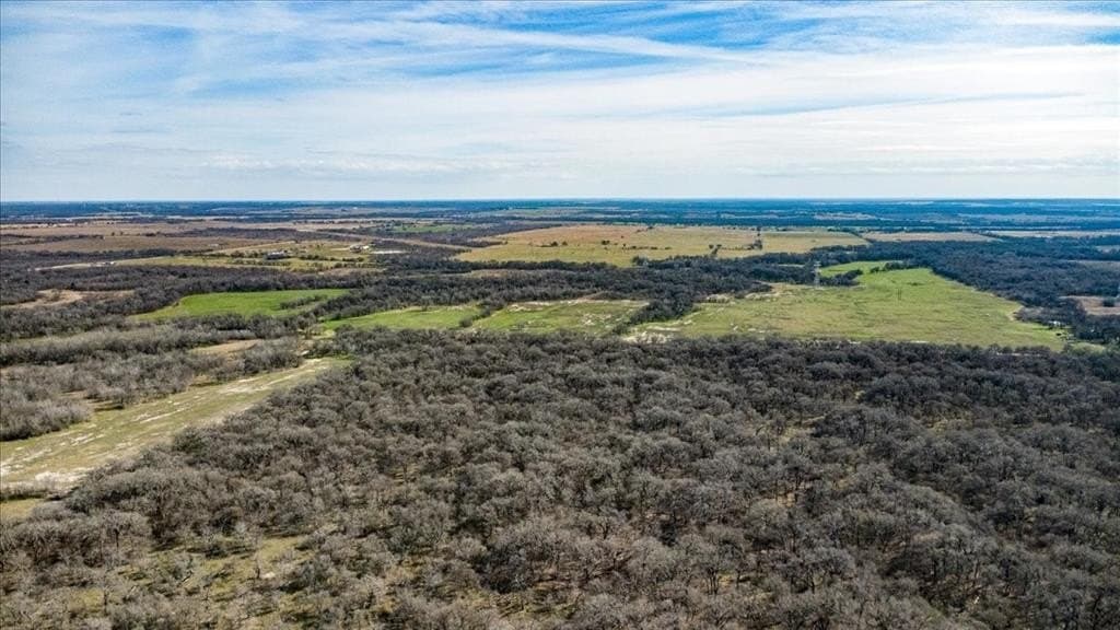169.6 acres in Limestone County - photo 4