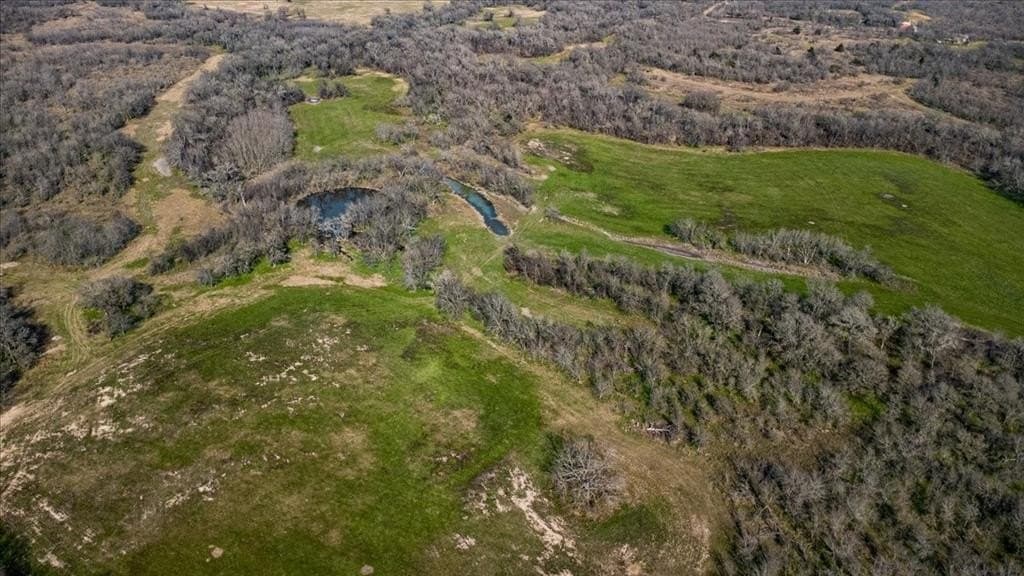 169.6 acres in Limestone County - photo 6