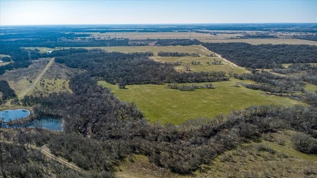169.6 acres in Limestone County - photo 17