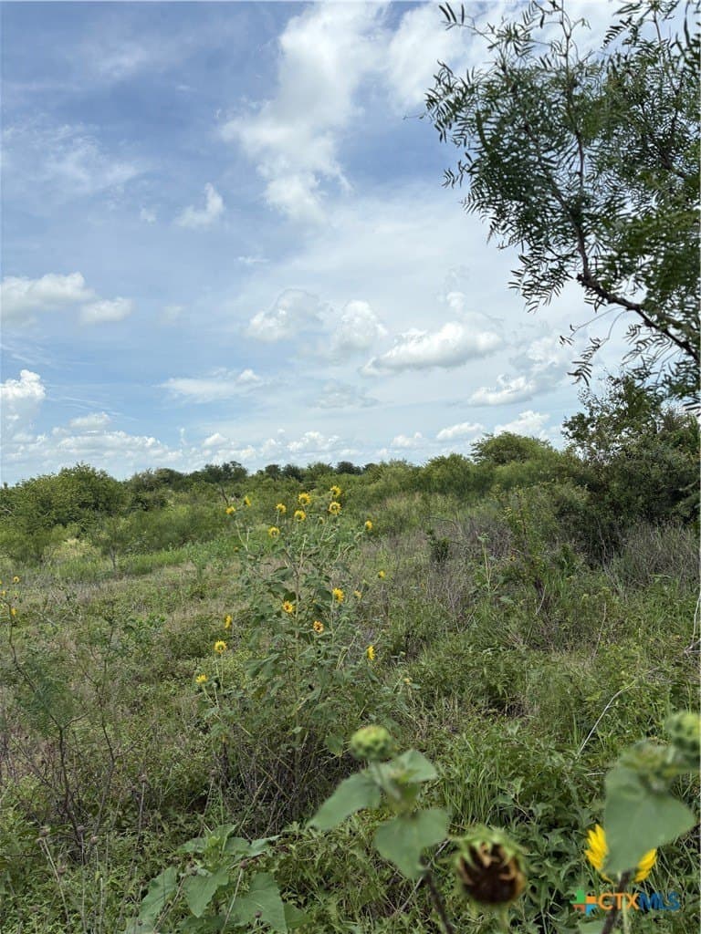 37.02 acres in Bell County - photo 22