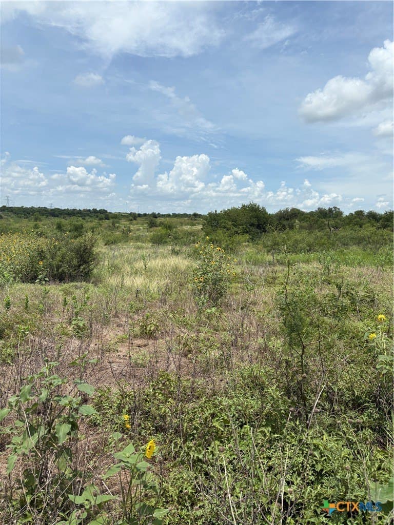 37.02 acres in Bell County - photo 25