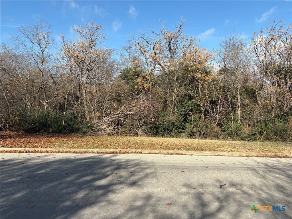 0.41 acres in McLennan County - photo 10