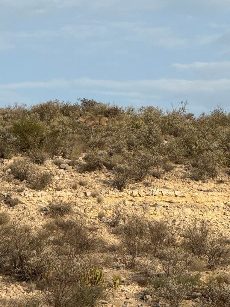 450 acres in Terrell County - photo 2