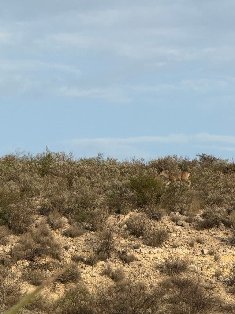 450 acres in Terrell County - photo 3