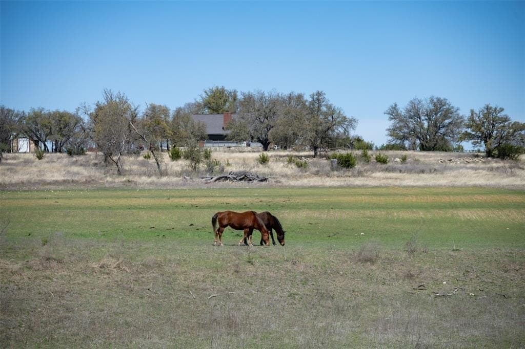 48 acres in Erath County - photo 38