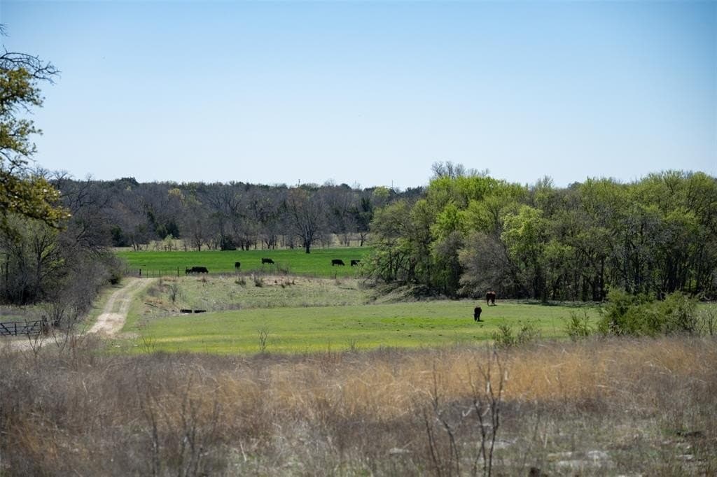 48 acres in Erath County - photo 3