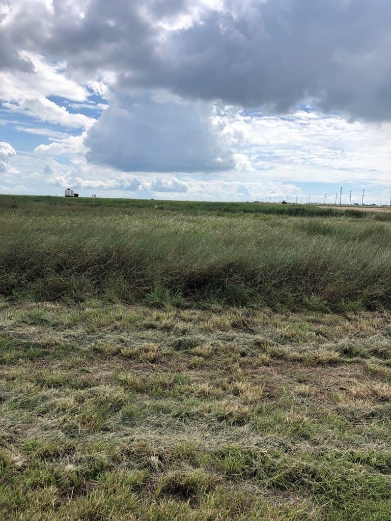 0.21 acres in Texas County - photo 2