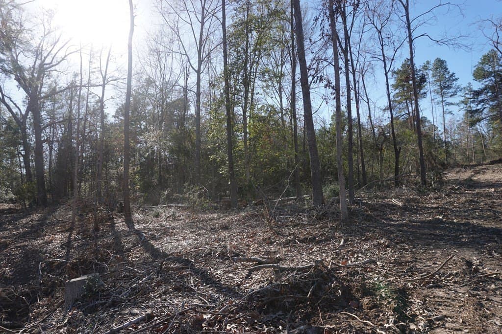 16.92 acres in LEON County - photo 5