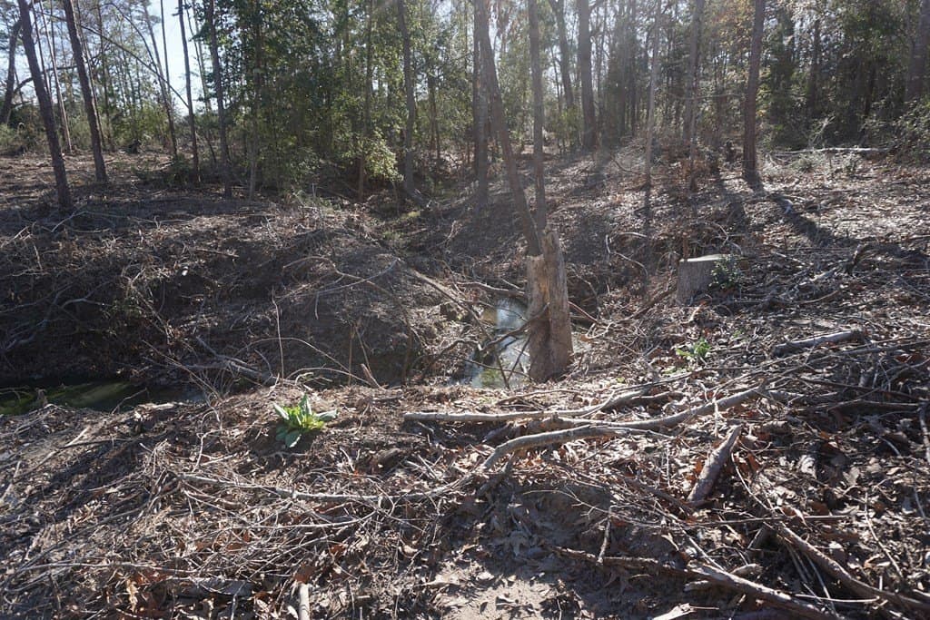16.92 acres in LEON County - photo 4