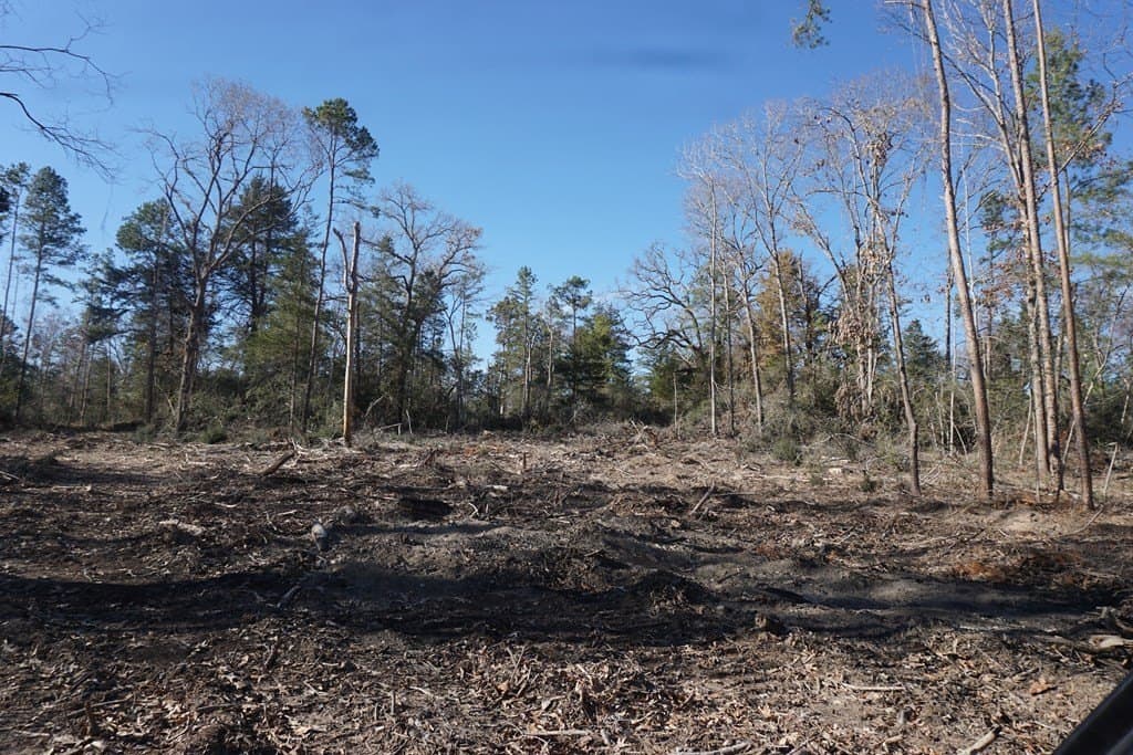 16.92 acres in LEON County - photo 6
