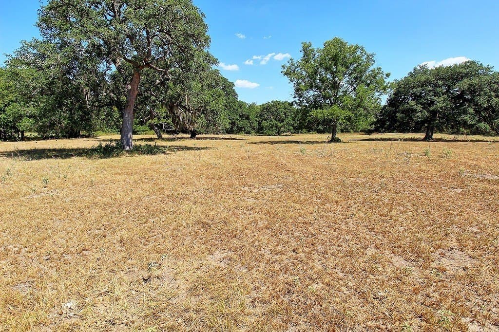 58 acres in Colorado County - photo 4