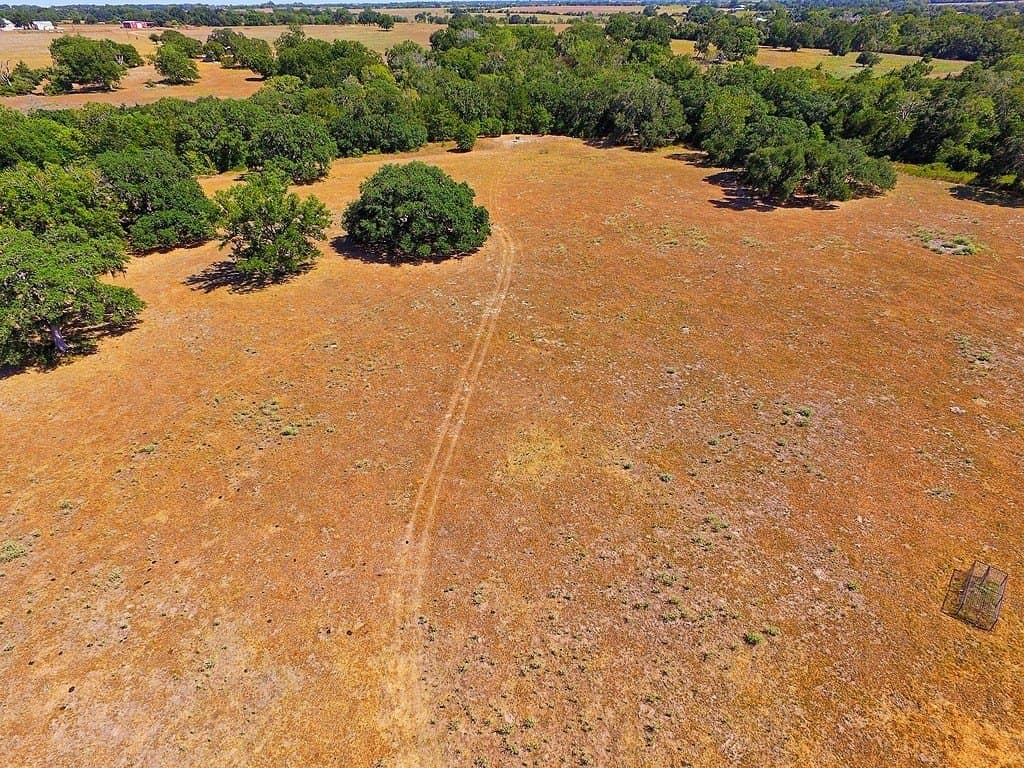 58 acres in Colorado County - photo 5