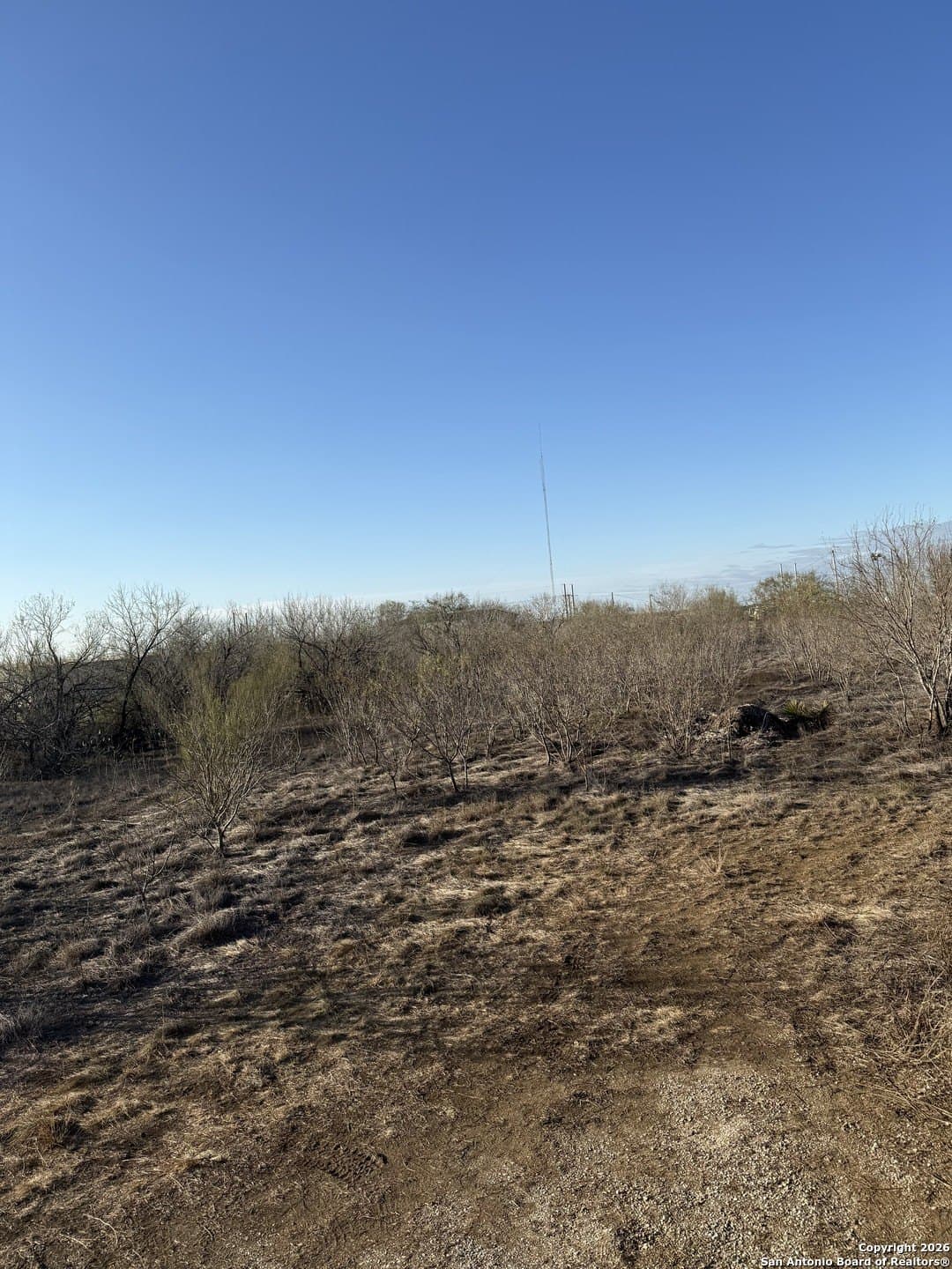 0 acres in Atascosa County - photo 2